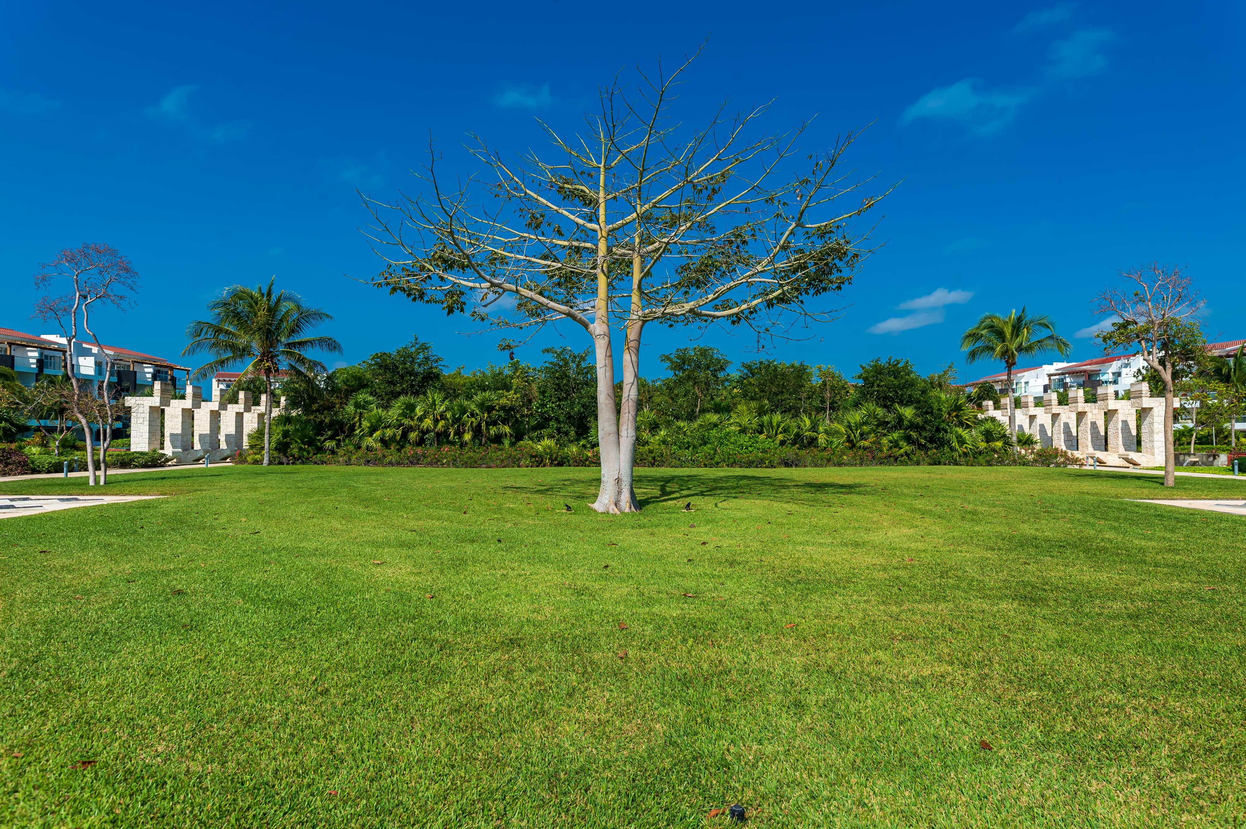 Mareazul Beach Front Resort Playa Del Carmen Buitenkant foto